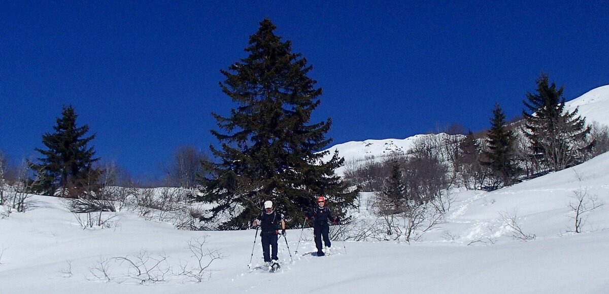 Raquettistes descendant une pente de neige immaculée, sur fond de sapins et de montagnes