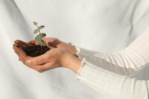 La transition écologique nécessite de prendre en compte l'ensemble des interactions du vivant