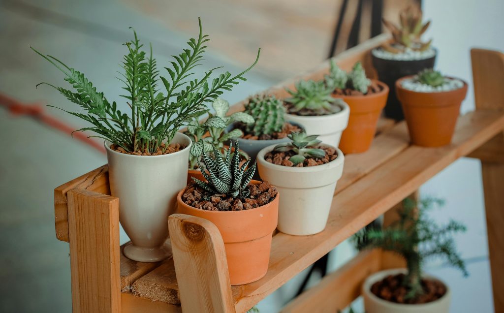 Le jardinage : une activité que vous pouvez pratiquer en prenant le temps