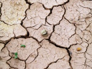 terre desséchée pendant une canicule