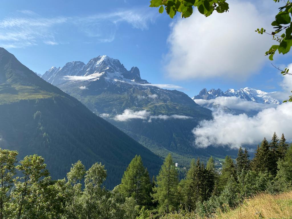 Paysage avec l'aiguille verte (vallée de chamonix), dans la randonnée qui monte au lac Blanc